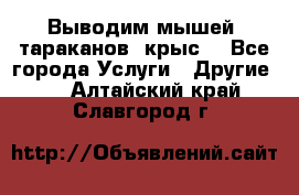 Выводим мышей ,тараканов, крыс. - Все города Услуги » Другие   . Алтайский край,Славгород г.